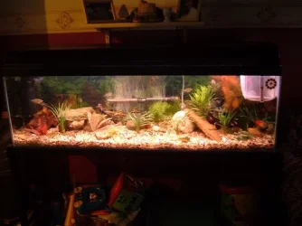 DSCF1830.webp