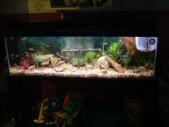 DSCF1831.webp