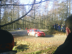 PIC_0034_copy.gif