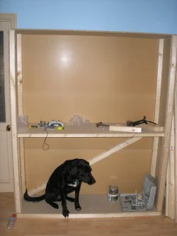 stand_and_dog.webp