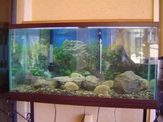 90_gallon_.webp