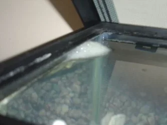 bubblenest2.webp