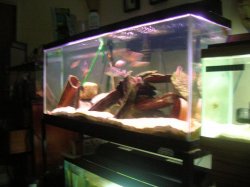 DSCN2202.JPG DSCN2202.JPG