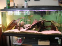 55_gal.JPG 55_gal.JPG