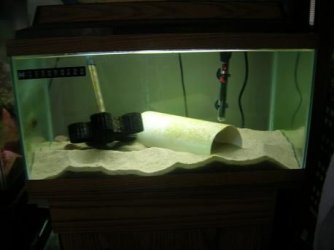 15_gal.JPG 15_gal.JPG