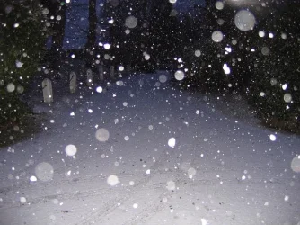 snow_002.webp
