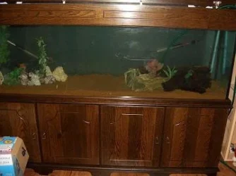 tank2.webp