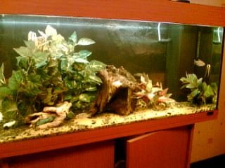 full_pic.jpg full_pic.jpg