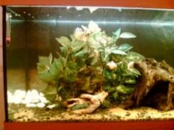 pic_left.jpg pic_left.jpg