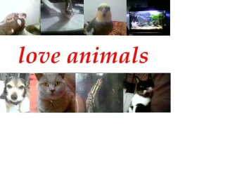animals.webp