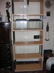 shelves_001.jpg