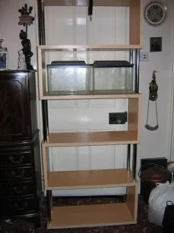 shelves_001.webp