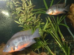 untitled.JPG untitled.JPG