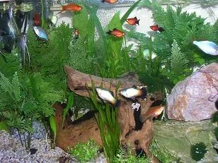 Picture_2.webp