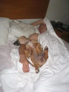 Ra___Steve_Snoozing.webp