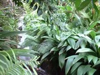small_eden_inside.webp small_eden_inside.webp