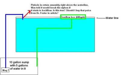 Setup.webp