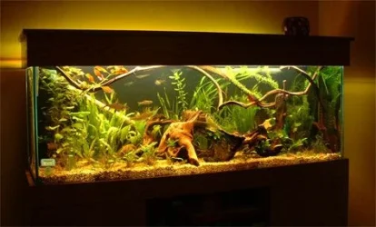 tank_update.webp