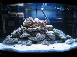 46_Gallon_SW_Start.jpg 46_Gallon_SW_Start.jpg