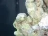 post_19059_1142309915_thumb_1_.webp post_19059_1142309915_thumb_1_.webp