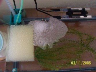 hmpk_bnw_bubble.jpg hmpk_bnw_bubble.jpg