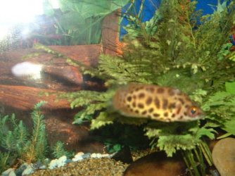 DSCF0044.JPG DSCF0044.JPG