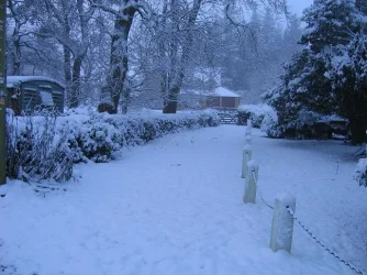 todays_snow_001.webp