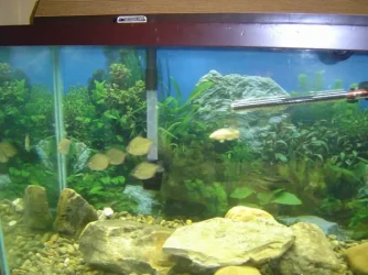 90_gallon_left_side.webp