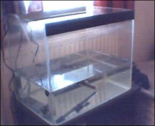 tank1.jpg