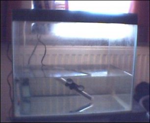 tank2.jpg