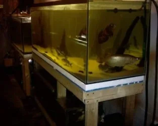 right_of_fish_room.webp right_of_fish_room.webp