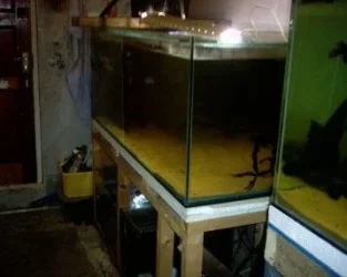 far_right_of_fish_room.webp far_right_of_fish_room.webp
