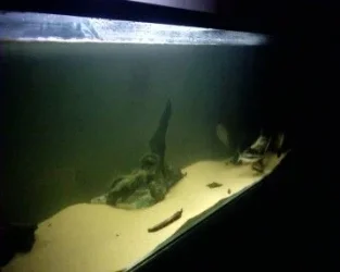 close_up_180.webp close_up_180.webp