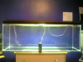 new_tank.jpg new_tank.jpg