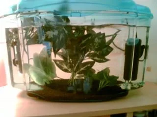 Image004.webp