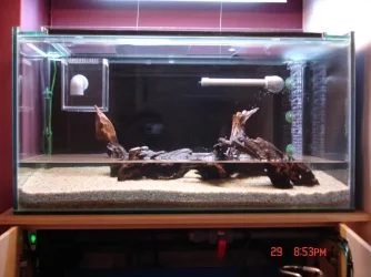 Fishtank0125.webp