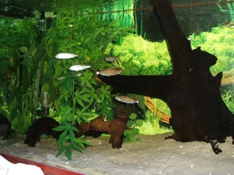 DSCF0627.webp