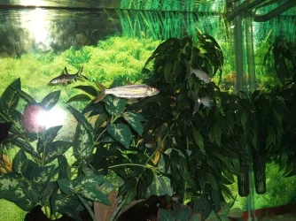 DSCF0631.webp