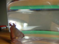 jermane_01.jpg jermane_01.jpg