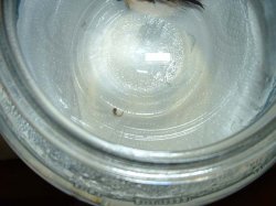 jermane_05.jpg jermane_05.jpg