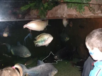 post_8827_1144007615.webp post_8827_1144007615.webp