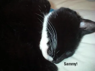 DSCF02654.webp