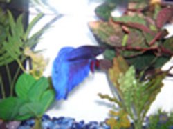 Picture_043.jpg Picture_043.jpg