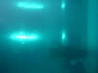 DSCF0297.webp