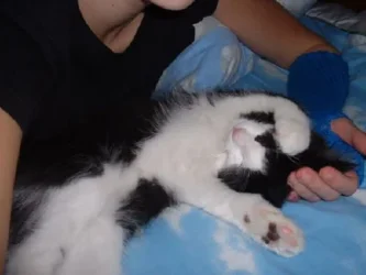 fluffy_smaller.webp