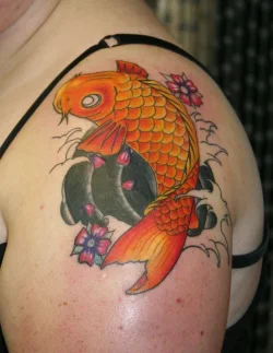 koi9ww.webp