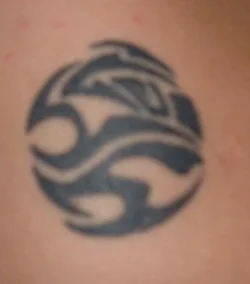 arm.webp