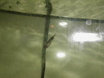 P1010017.JPG P1010017.JPG