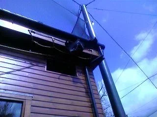fruit_bat.webp fruit_bat.webp