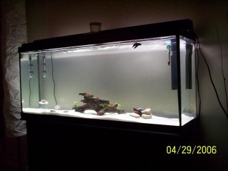fish_new_pics_001.jpg